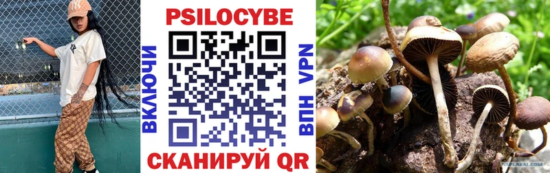 Галлюциногенные грибы Cubensis  Тарко-Сале 